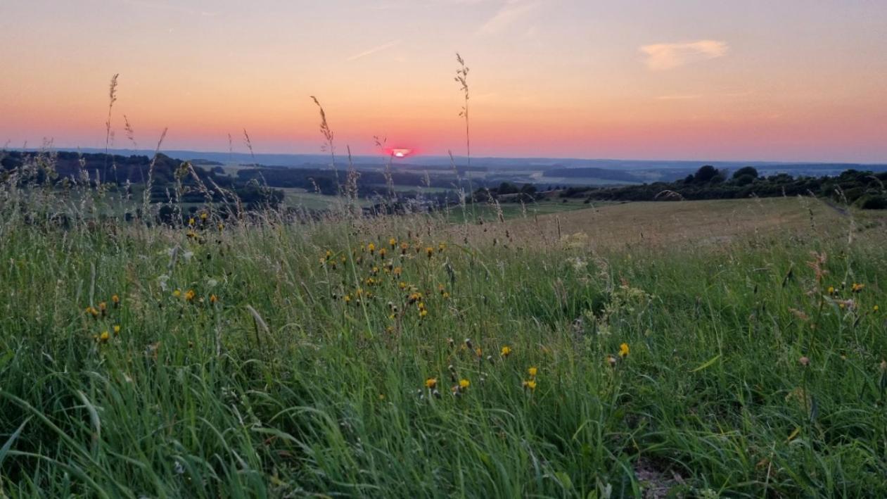 Ferienwohnung Eifelweh - Lieblingszeit Berndorf  Bagian luar foto